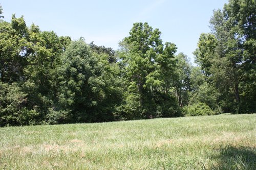 Property photo 4 - AUCTION POSTPONED